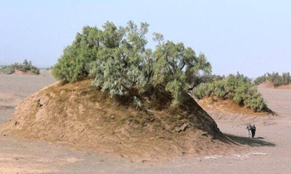 نبکا های فَهرج ، گلدان‌های شگفت آمیز طبیعی در دل کویر کرمان