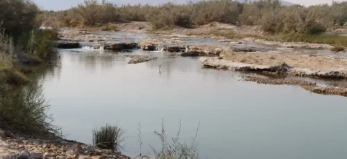 افزایش انتقادات از طرح گَز کاری در تنگ چرخی زرین دشت /نابودی حیات رودخانه کُل در استان فارس