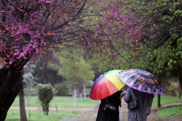 باران پاییزی