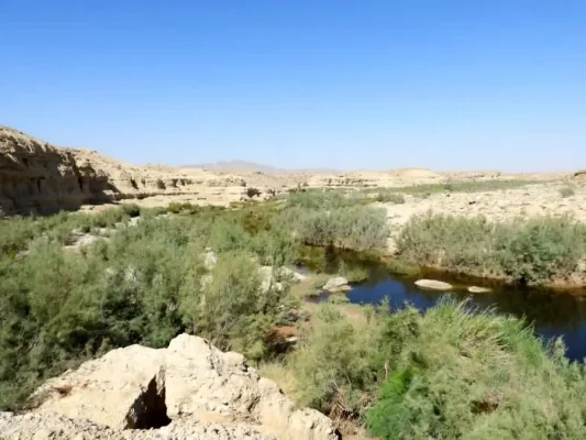 افزایش انتقادات از طرح گَز کاری در منطقه تنگ چرخی زرین دشت /نابودی حیات رودخانه کُل در استان فارس 