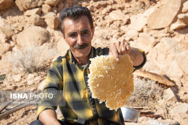 Traditional boiling pot ceremony in Maimand Fars province 32