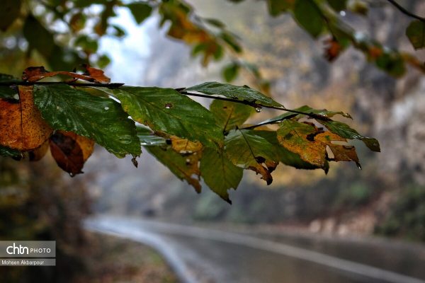 آبشار آب پری در شهرستان نور 2