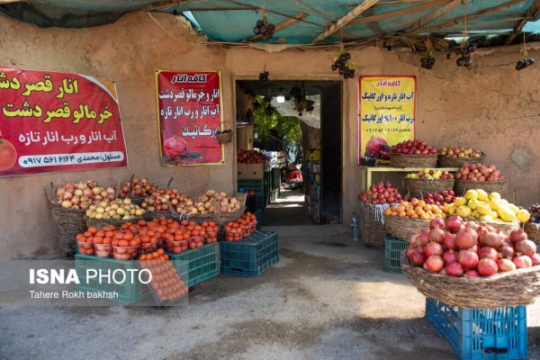 انار قصردشت شیراز 4