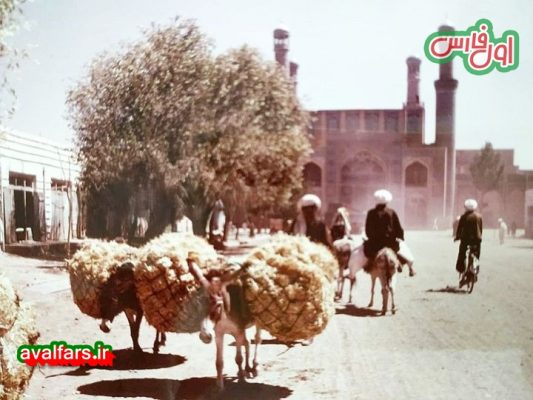 عکس های تاریخی از هرات باستانی در افغانستان 6