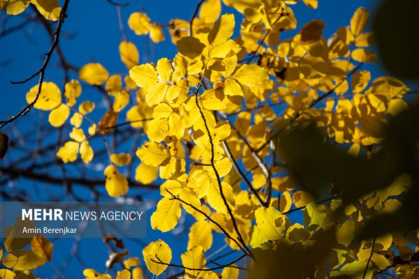 Autumn nature of Dashtak village in Fars province 1