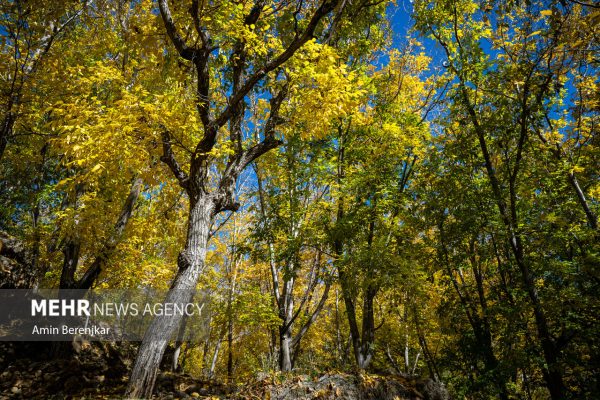 Autumn nature of Dashtak village in Fars province 11