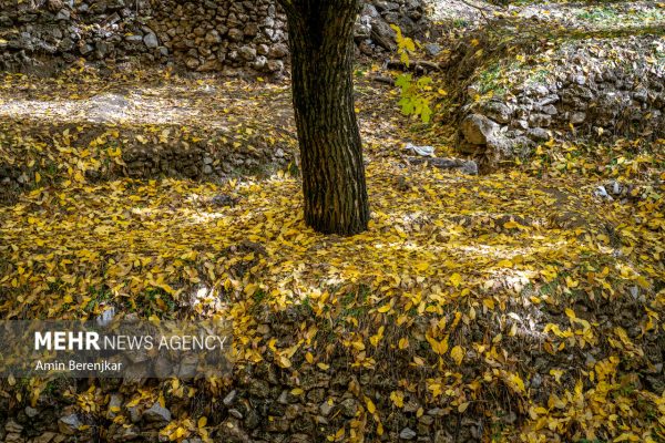 Autumn nature of Dashtak village in Fars province 12