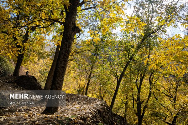 Autumn nature of Dashtak village in Fars province 13