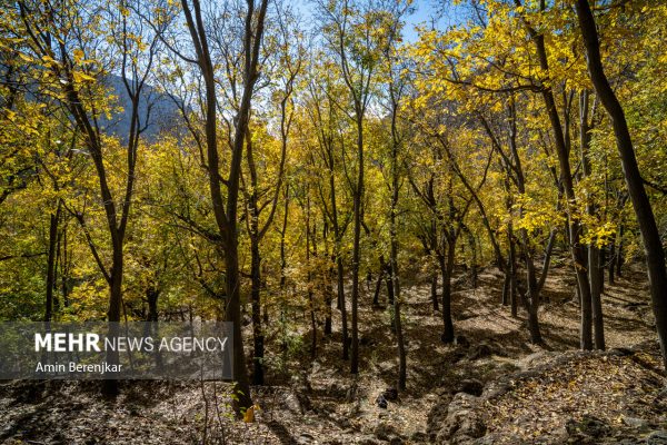 Autumn nature of Dashtak village in Fars province 15