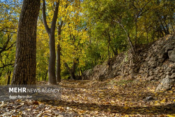 Autumn nature of Dashtak village in Fars province 16