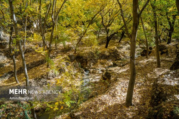 Autumn nature of Dashtak village in Fars province 17