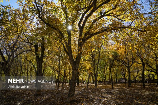 Autumn nature of Dashtak village in Fars province 19