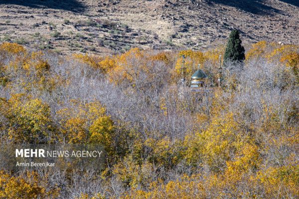 Autumn nature of Dashtak village in Fars province 2