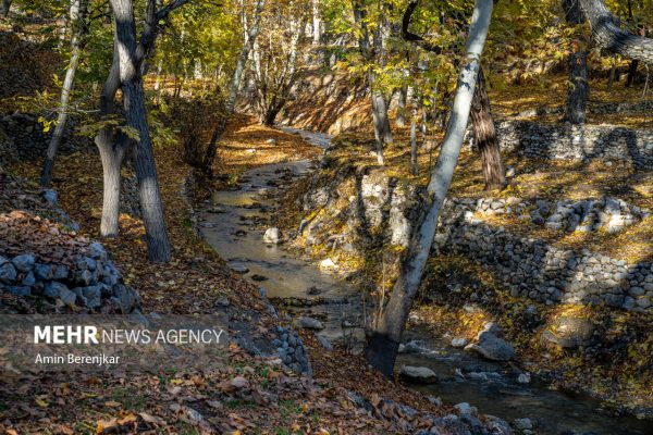 Autumn nature of Dashtak village in Fars province 21