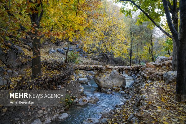 Autumn nature of Dashtak village in Fars province 3