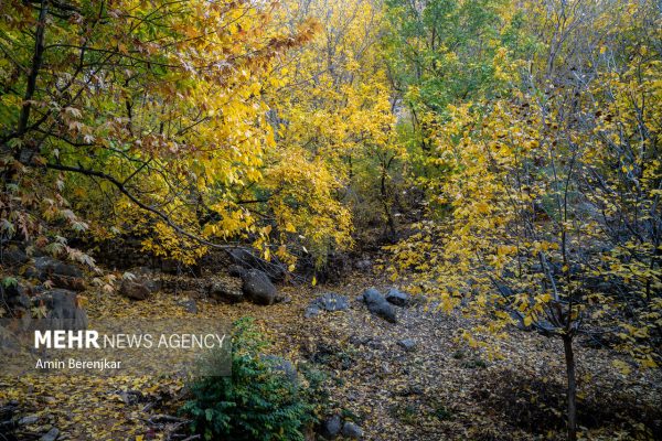 Autumn nature of Dashtak village in Fars province 4