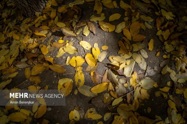 Autumn nature of Dashtak village in Fars province 5