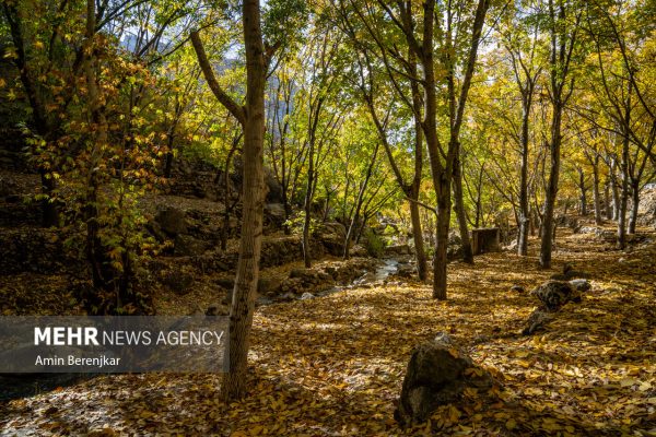 Autumn nature of Dashtak village in Fars province 7