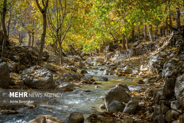 Autumn nature of Dashtak village in Fars province 8