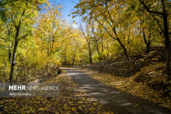 Autumn nature of Dashtak village in Fars province 9