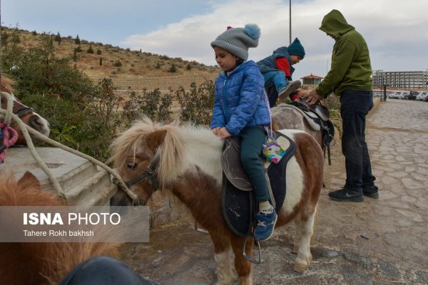 Drak Shiraz Mountain Park 19