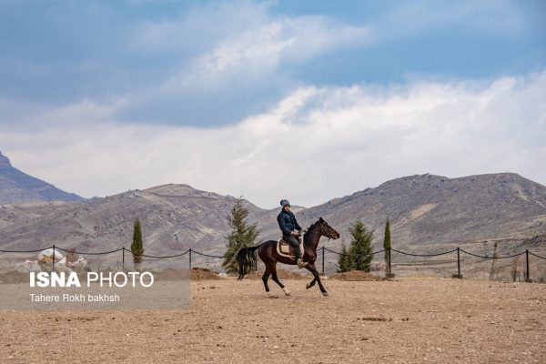 Drak Shiraz Mountain Park 20