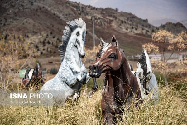 Drak Shiraz Mountain Park 32