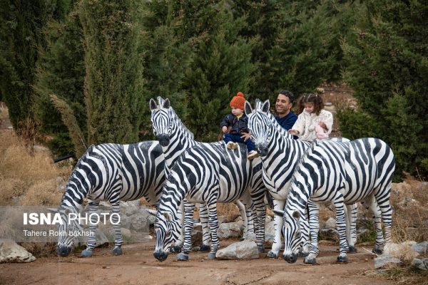 Drak Shiraz Mountain Park 37