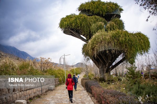 Drak Shiraz Mountain Park 38