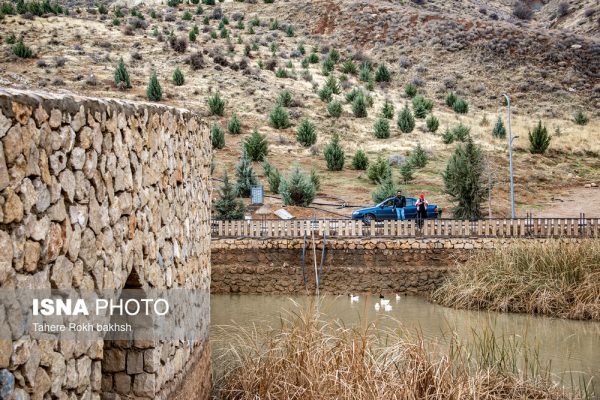 Drak Shiraz Mountain Park 5