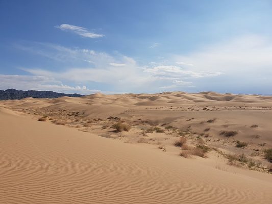 بیابان گبی