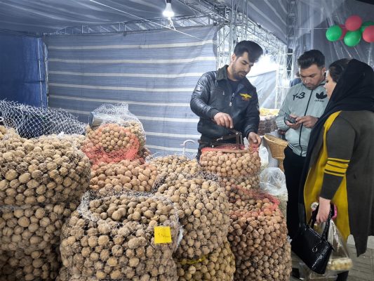 نمایشگاه شب یلدا در شیراز 10