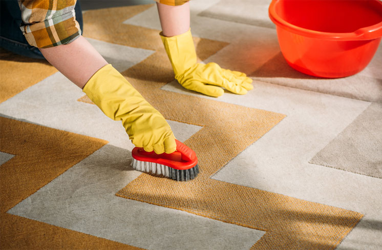 چگونه کپک فرش و موکت را برطرف کنیم؟ + روش پیشگیری
