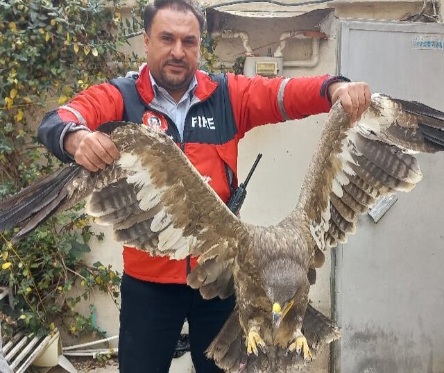 عامل رعب و وحشت خانواده شیرازی در کوه بمو رها شد