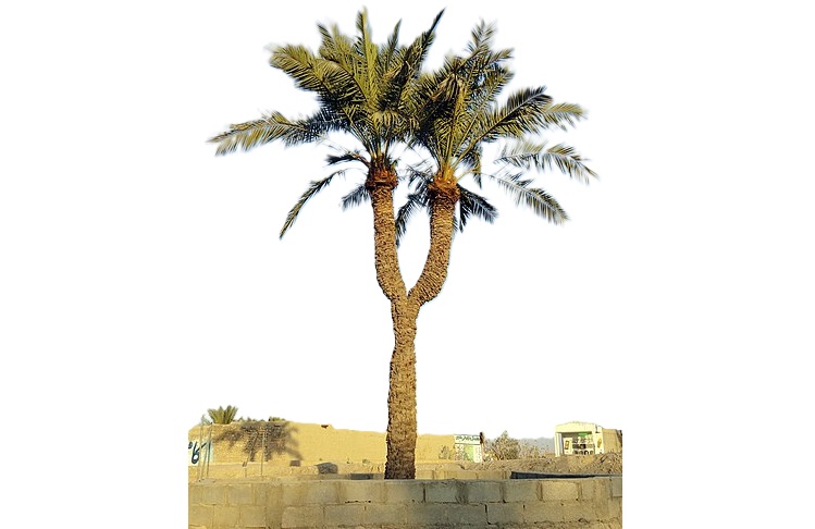 این بخش از استان فارس سالی 2 ماه آب ندارد(+ویدئو)