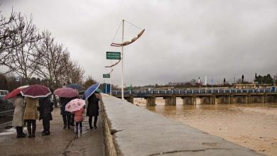 باران شیراز