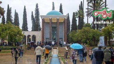 بارش باران در شیراز