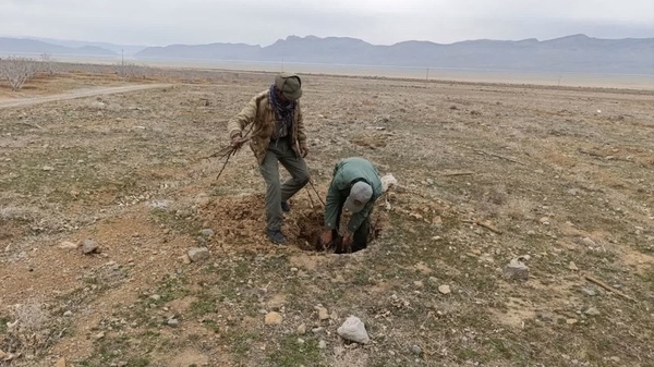 خبر محیط زیست بختگان استبان