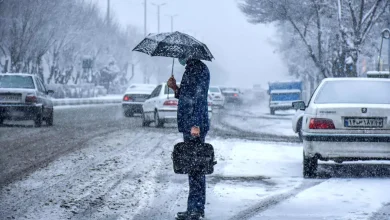 سرمای هوا