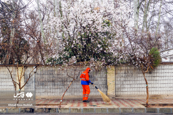 Early tree blossoms in March in Shiraz 16