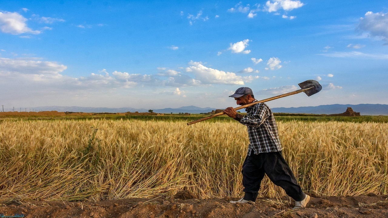 بخشودگی جرائم وام‌ها برای جبران خسارات کشاورزان