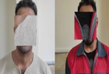 سارقین زعفران مرودشت 1