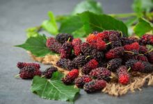 How to make berry jam 1