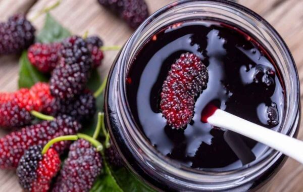 How to make berry jam 1