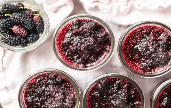 طرز تهیه مربای توت