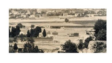 old shiraz 1