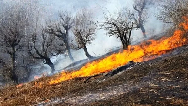 آتش سوزی