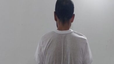 سارق طلاجات لارستان
