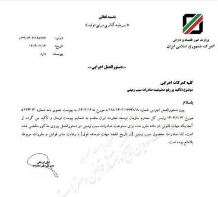 سیب زمینی 2