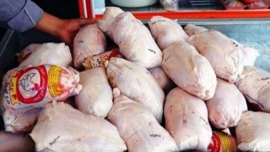 قیمت مرغ